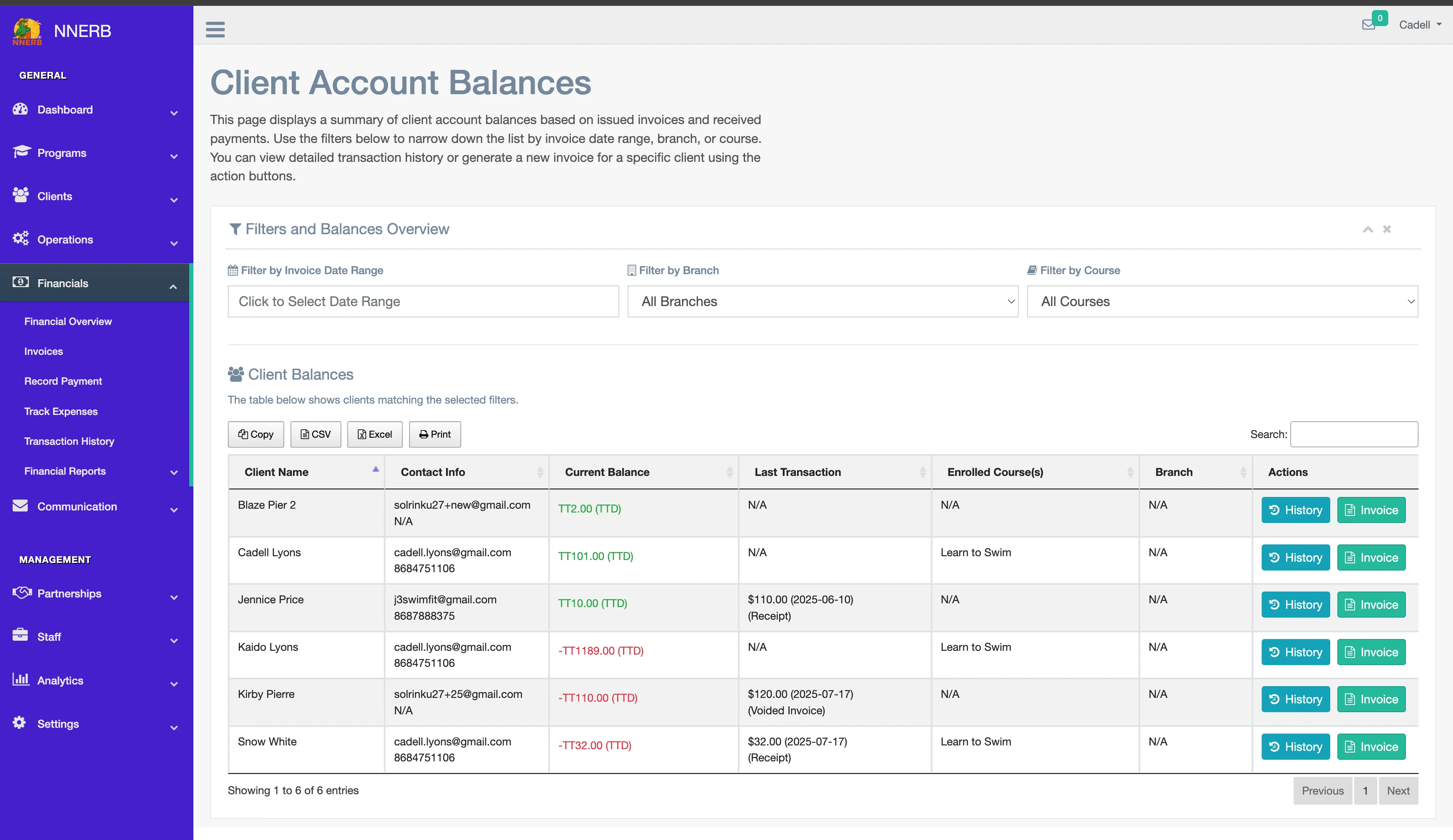 A screenshot showing a detailed financial report with export options in NNERB.